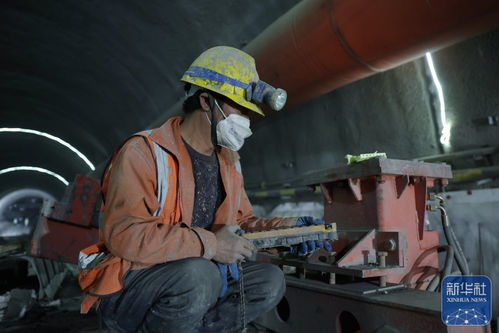 山舞銀蛇 的高速鐵路